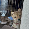 わたしはみた！！！笑