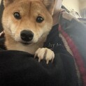 可愛がってくれる人募集中です！