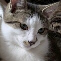 2025年11月生まれ 穏やかなルクスくん