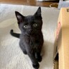 4姉妹♥なでなでしてね♡なつちゃん