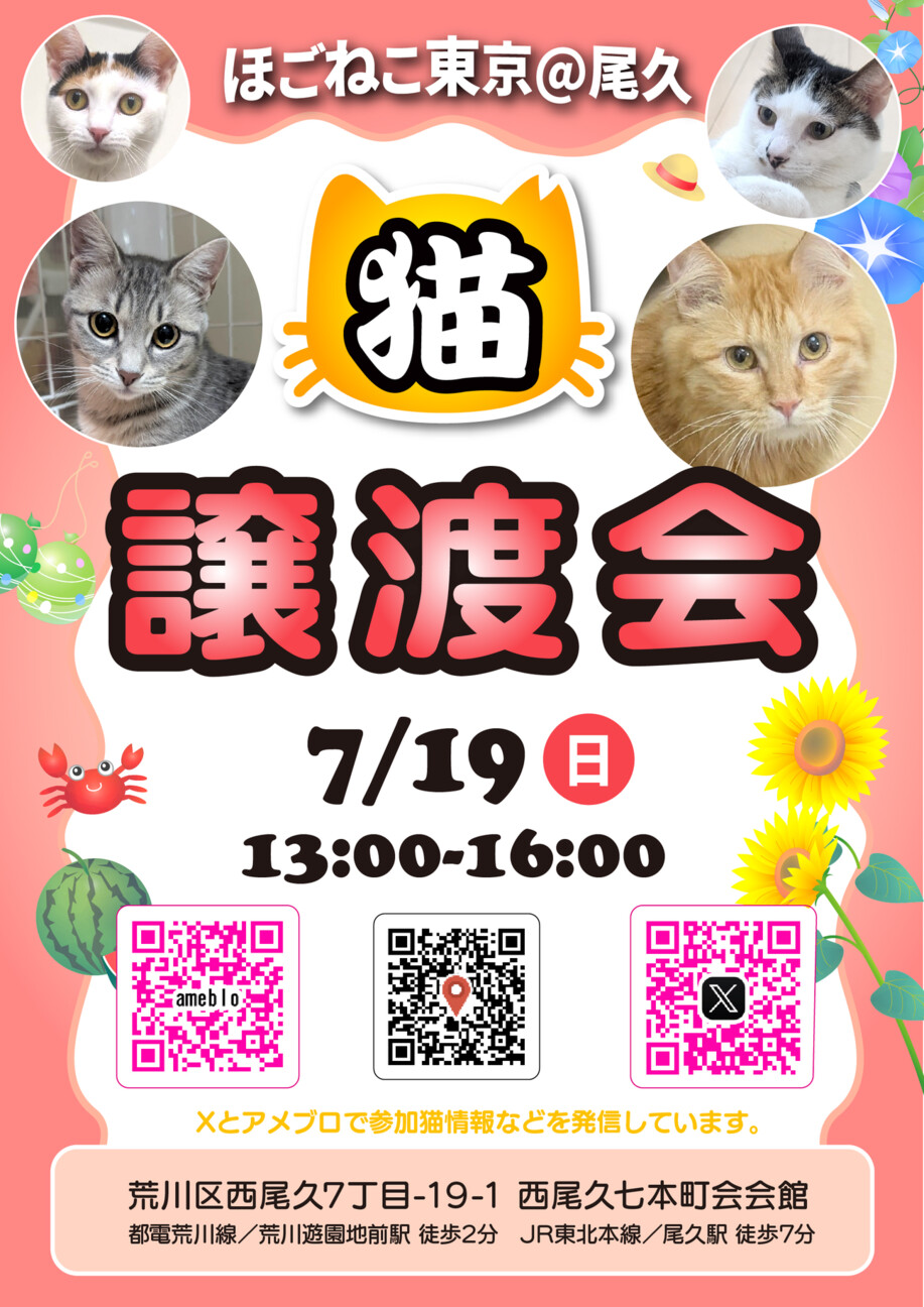 人懐っこい♡ハッピーちゃん サムネイル7
