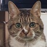 だいねねファミリー