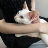 イケメン兄弟のリノとマナです！ サムネイル4