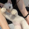 イケメン兄弟のリノとマナです！ サムネイル6
