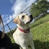 里親募集してます！ サムネイル5