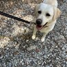 里親募集してます！ サムネイル6
