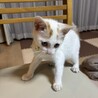 べったべたの甘えん坊、人間ストーカー寺山さん サムネイル5
