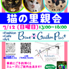 ムギワラさび子猫のまーちゃん サムネイル7