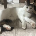 おっとり控えめな女の子２歳