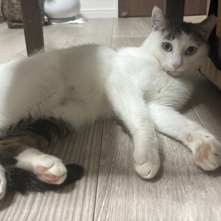 おっとり控えめな女の子２歳