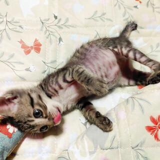 小柄で可愛い飛んで来てダイビング⭐️カズ