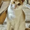 仮名：にーちゃん サムネイル3