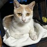 仮名：にーちゃん サムネイル5