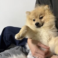 ラッキー