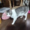 仮名：ポーちゃん サムネイル3