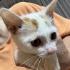 べったべたの甘えん坊、人間ストーカー寺山さん サムネイル4