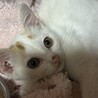 べったべたの甘えん坊、人間ストーカー寺山さん サムネイル6