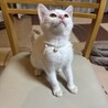 べったべたの甘えん坊、人間ストーカー寺山さん サムネイル7