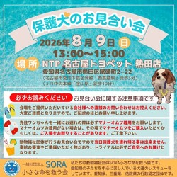 NTP 名古屋トヨペット熱田店様お見合い会