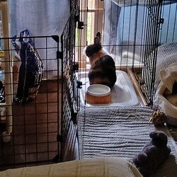 血縁でもないのに