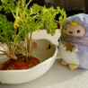 kiiroiminto