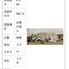 殺処分対象❗️収容期限7/16迄❗️延長なし サムネイル7