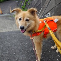いなり