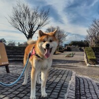 たま
