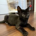 お問合せがあり一旦停止中です(ノアくん)