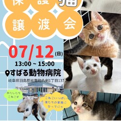 こねこ祭り！保護猫譲渡会　岐阜