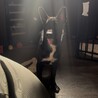 ◆小さめツヤツヤ黒の美しい子犬◆セブンくん サムネイル2