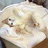 穏やかで甘えん坊の茶白女の子　推定1歳 サムネイル3