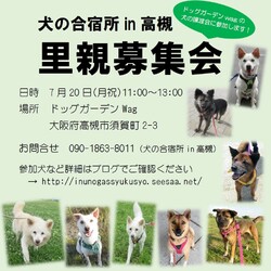 「犬の合宿所in高槻」のミニ里親募集会
