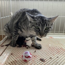 7/7星に願いを…