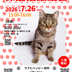 7月26日｛ラブとハッピー府中 保護猫譲渡会｝