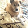 Rocky20210901