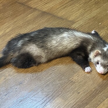 の写真