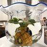 がつおか