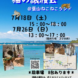 子猫祭り‼️湘南地区最大級保護猫譲渡会