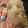 みぃ000