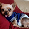 Timmy✩