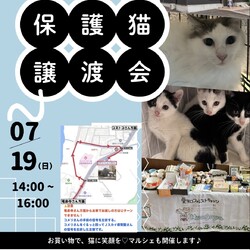 保護猫譲渡会＆猫グッズ物販　名古屋市