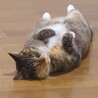 よちこう