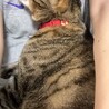 家でゆっくりすると甘えてくる6歳児可愛過ぎてヤバイー♡