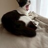 甘えん坊のぽぽたんちゃん♡