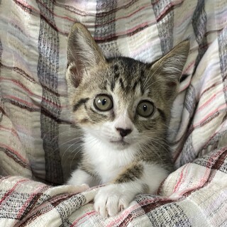 甘え上手のひゆりちゃん