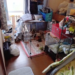 「血縁でもないのに2」サムネイル3