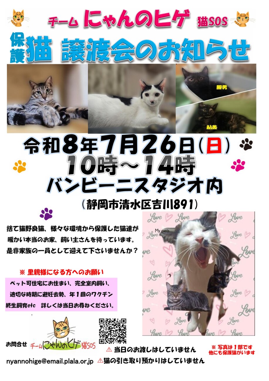 猫のヒゲ様 お手続き専用ページ 保護ニャンコの譲渡会」（チーム にゃんのヒゲ 猫SOSのイベント #29501