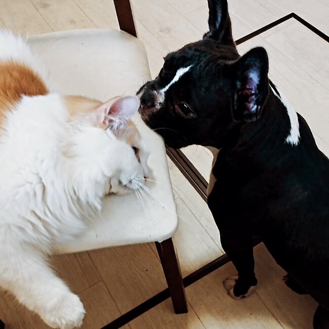 Kelly Haniu のカバー写真