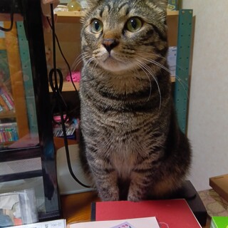 こちらの気持ちを察する非常に賢い子です